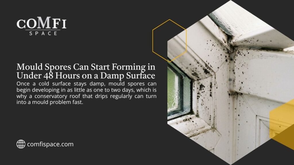 Comfi Space graphic: mould spores can form in under 48 hours on a damp surface, so a dripping conservatory roof becomes a mould problem fast. Black mould spreads around a window frame.